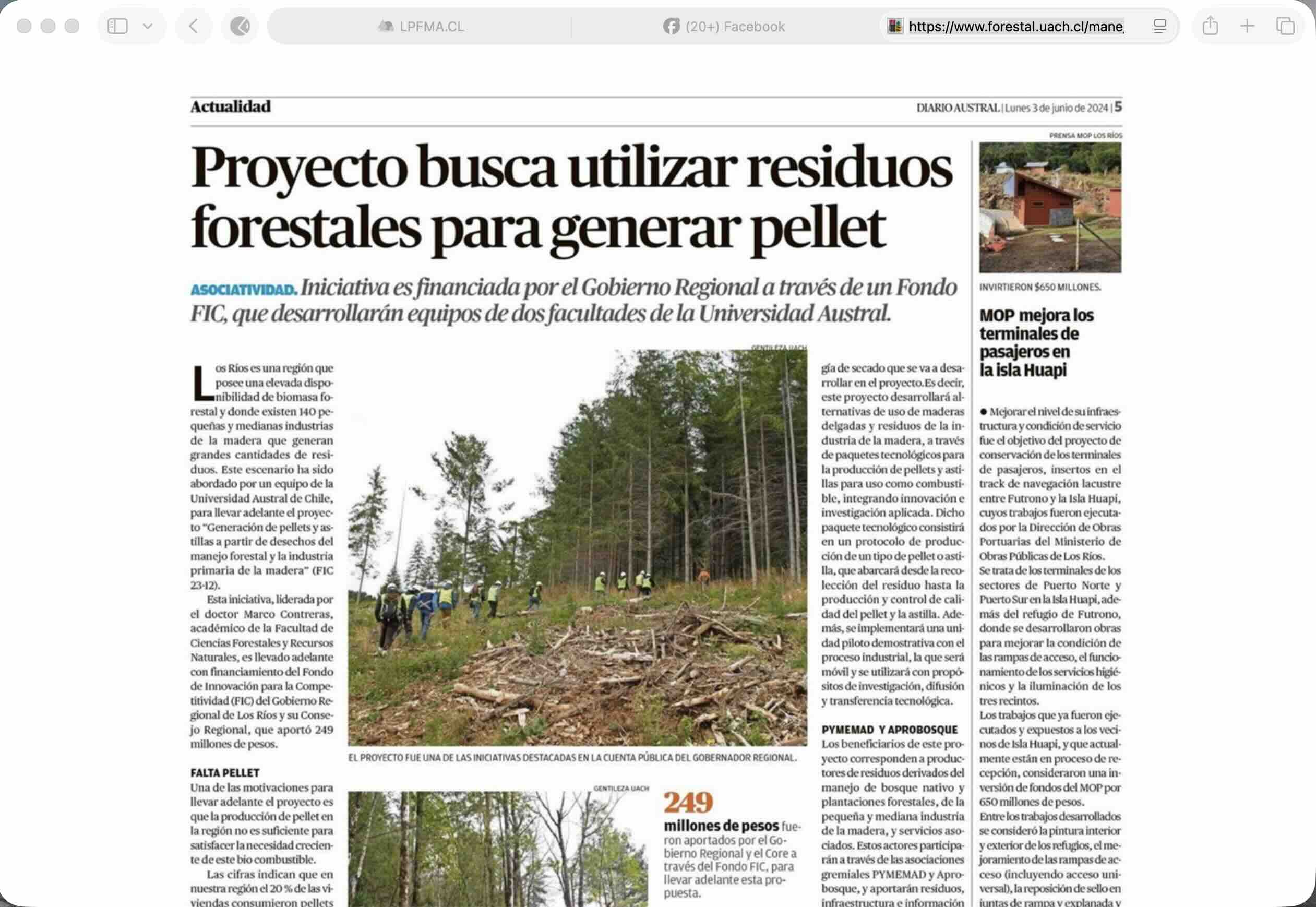 Proyecto busca utilizar residuos forestales para generar pellet